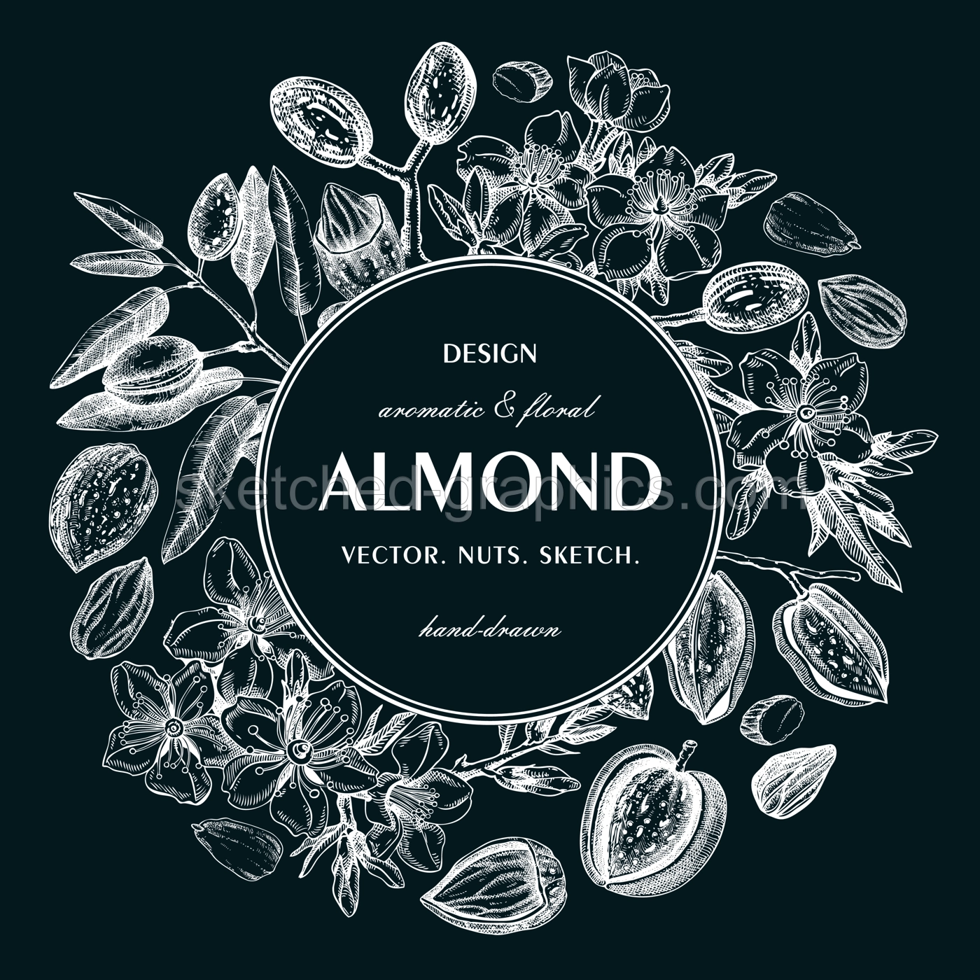 Almond nut wreath design on chalkboard.Blooming branches, nuts, flower sketches. Hand-drawn vector illustration. Botanical background. NOT AI generated Illustration